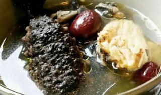 海参菌菇大骨汤怎么做 海参菌菇汤的做法大全