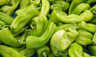 剁椒焖尖椒 剁椒焖鱼的做法窍门