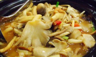 纯素杂菇煲(素杂菇汤)