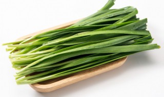 桔梗炒韭菜（桔梗和炒桔梗的区别）