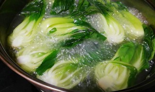 上海青煮多久能熟（上海青煮多久才熟）