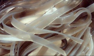 干的宽粉多久可以泡软 干的宽粉多久可以泡软了