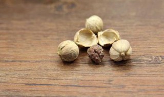 白蔻姜糖水 鲜姜白蔻甘草