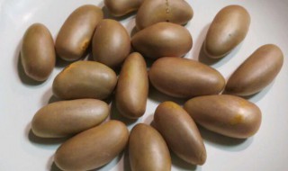 菠萝蜜的核煮多久能吃 菠萝蜜的核煮多久能吃啊