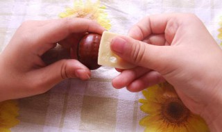 剥栗器怎么剥栗子 剥栗器怎么剥板栗