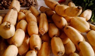 种藕的方法和技巧（种藕的方法视频）