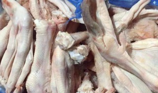 鹅脚鹅翅怎么做汤 鹅脚鹅翅怎么做汤好吃