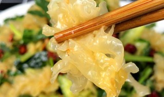 金银耳和百合凉拌怎么做的（金银耳和百合凉拌怎么做的好吃）