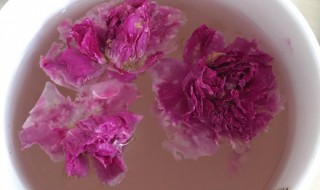 鲜的玫瑰花怎么做玫瑰花茶 鲜的玫瑰花怎么做玫瑰花茶好喝