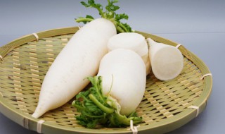 炖白萝卜作用及食用方法（炖白萝卜的功效和作用）