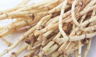 干鱼腥草煮水需要多少时间方法 干鱼腥草一般煮几分钟