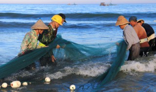 下网粘鱼最好的方法 下网粘鱼违法吗
