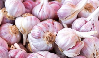 大蒜头恒温冷库储存方法 大蒜头恒温冷库储存方法视频