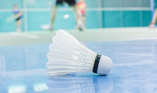 怎么挑选羽毛球(怎样挑选羽毛球)