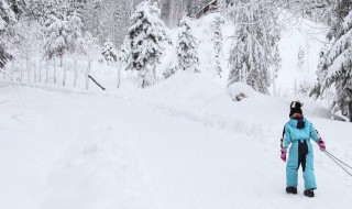 平行式滑雪转弯立刃技巧（平行式滑雪转弯立刃技巧视频教程）