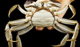 蒸螃蟹蘸料怎么做（蒸螃蟹蘸料怎么做的）