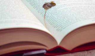 吸引是什么意思（灵魂吸引是什么意思）