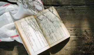 朝阳区怎么读（朝阳区怎么读拼音怎么写）