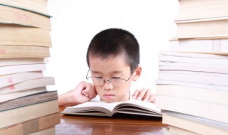 日加木是什么字 一个日加木是什么字