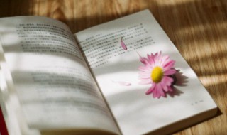 博闻强识的意思 博闻强识的意思解释