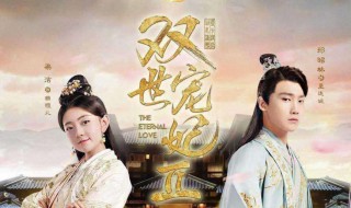电视剧双世宠妃是什么小说（电视剧,双世宠妃）