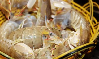 猷蠓怎么保存（猷蠓怎么保存比较新鲜）