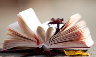 鄙陋怎么读(鄙陋怎么读什么意思)