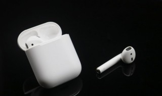 苹果耳机怎么查序列号（苹果耳机怎么查序列号和激活时间）