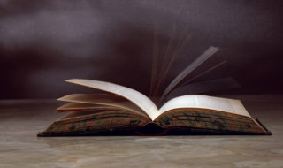 谪仙人怎么读（谪仙怎么读?）