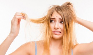 百布中药去虱子的做法（中药百部怎么去虱子）