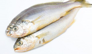 松鼠鲈鱼的做法熹妃传 熹妃传水煮鲈鱼做法