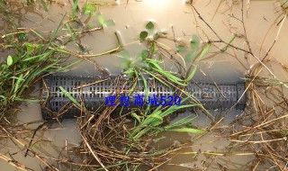 塑料瓶黄鳝笼做法 饮料瓶制作黄鳝笼