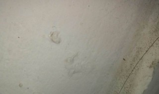 宿舍潮湿如何解决方法 宿舍潮湿如何解决方法图片