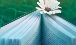 趄怎么读（趑趄怎么读）