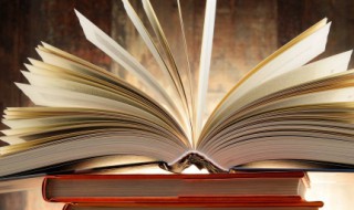 镖怎么读 镖怎么读组词