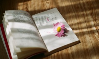 理解词语的方法 理解词语的方法有哪些