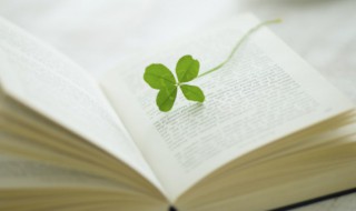 壮的部首怎么读 壮部首怎么读叫什么部