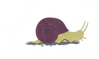 野生蜗牛在家怎么养（野生蜗牛在家怎么养 会不会有不妥）