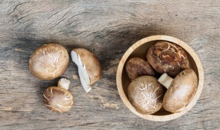 香菇炖鸭子的做法大全（香菇炖鸭子的家常做法）