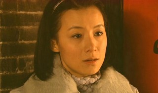 严川米佳是什么电视剧（严川米佳是什么电视剧杜杜淳）