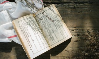 幞怎么读 啻怎么读