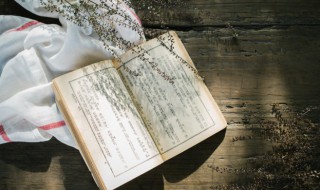 姊妹怎么读 姊妹怎么读和意思