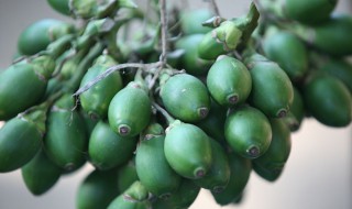 戒槟榔的最有效的方法（戒槟榔最有效的办法）