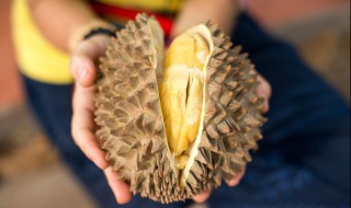 榴莲存放的正确方法（榴莲怎样存放方法）