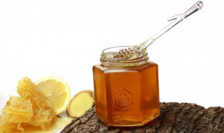 怎么保存蜂蜜的方法最科学 怎么保存蜂蜜的方法最科学窍门