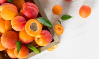 新鲜杏的保质期及保存方法有哪些 新鲜杏怎么长时间保存