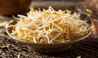 豆芽的保存（豆芽的保存温度）