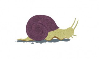 蜗牛在家里怎么养 蜗牛在家里怎么养才能活