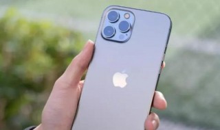 苹果丢失怎么找回（苹果丢失怎么找回?）