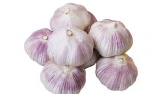 盐咸蒜的做法大全(咸蒜的做法最正宗的做法)